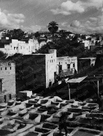 Les tanneries traditionnelles de Fès. 1950
